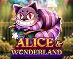 ALICE WONDERLAND MC